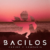 BACILOS estrena nuevo EP: CUPIDO Y COMPAÑÍA