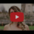 RESIDENTE se une a la reconocida actriz PENÉLOPE CRUZ en su nuevo video musical